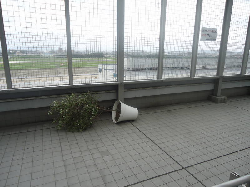 台風12号ェ…